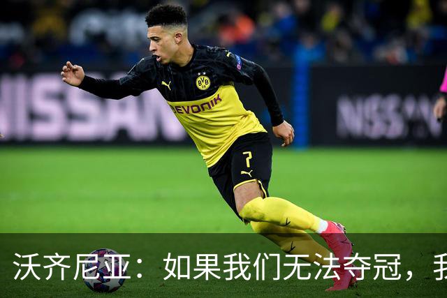 沃齐尼亚：如果我们无法夺冠，我会支持葡萄牙，我一直很欣赏C罗
